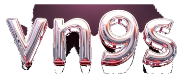 vn9s logo